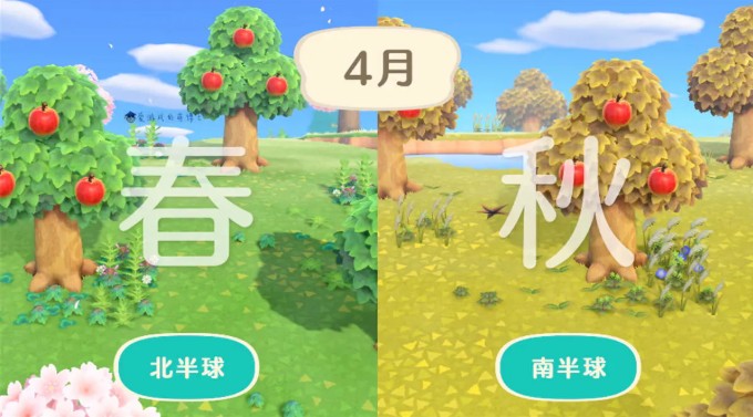 动物森友会
