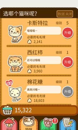 猫咪阵地