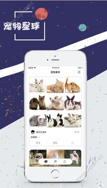 宠物星球
