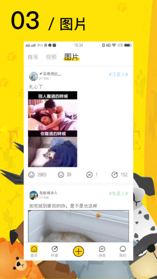 爱宠星球（爱宠网官方APP）