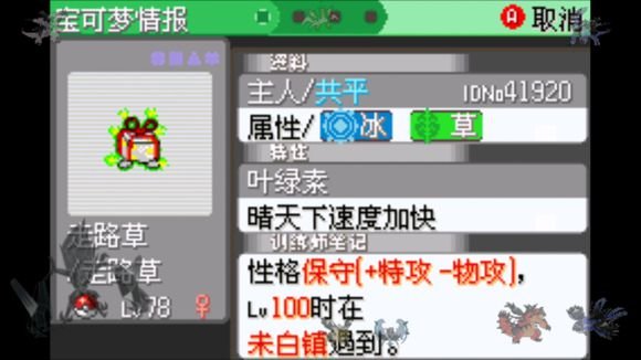 口袋妖怪：日月 宝石八木特别篇