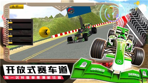 车手